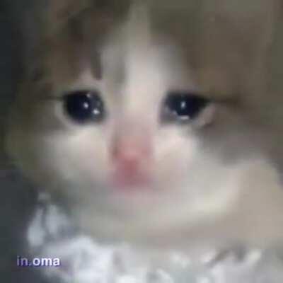 Para relajarse un ratito y a mimir uwu