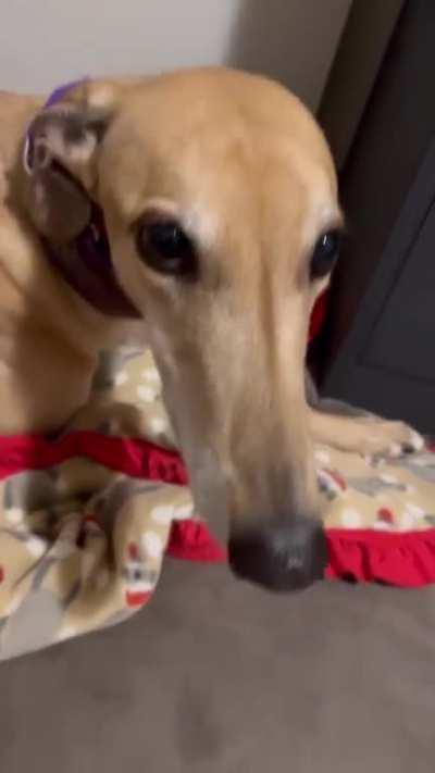 one of the first posts on ig i see (_madmay)