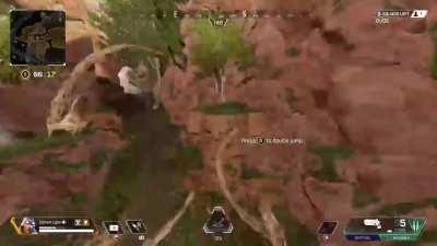 Thanks for the totem I guess