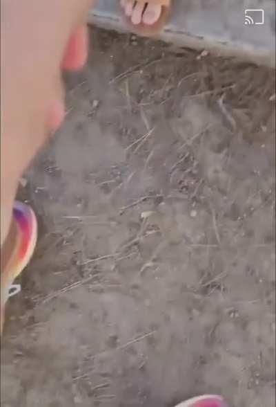 Most normal wordington contributor