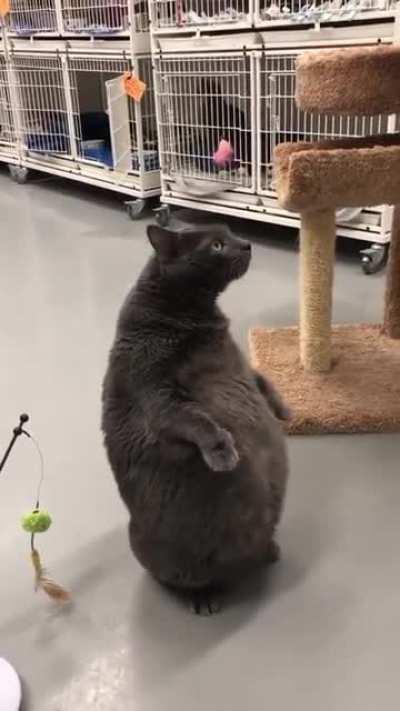 Когда стоишь в макдаке и ждёшь свой бургер