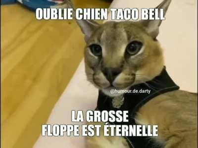 La floppouille 😩😩😩