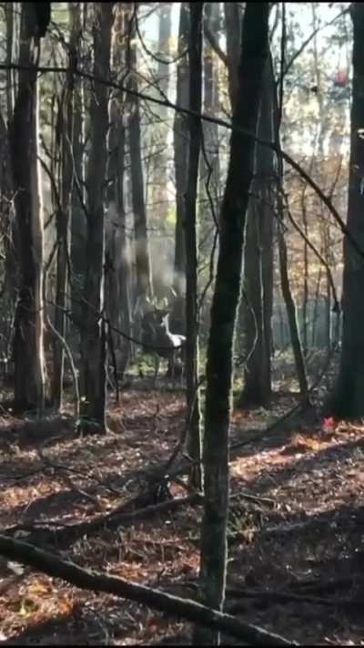 Goodmorning sir. Could I interest you in... No? Oke have a good day.