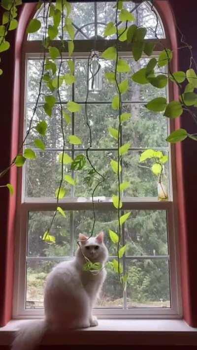 A peaceful moment just enjoying the snow fall.