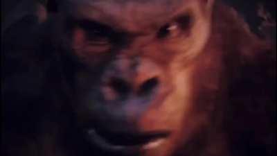 Bro’s spitting facts