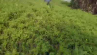 A day fishing out by the river takes an abrupt turn