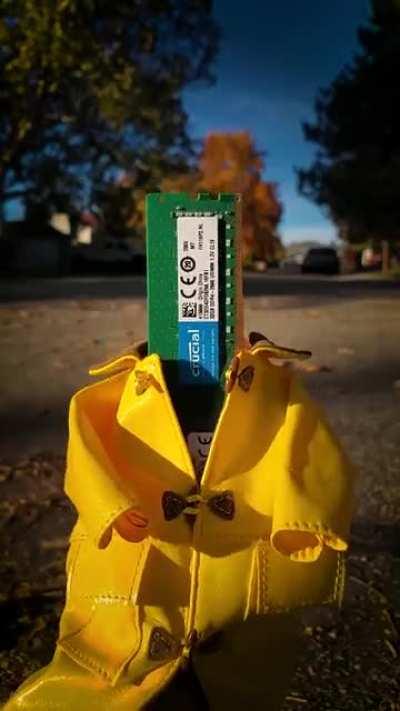 Happy Halloween PCMR! Remember to always trick or treat in pairs!
