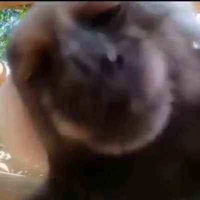 Senhor adminso 😳👉👈