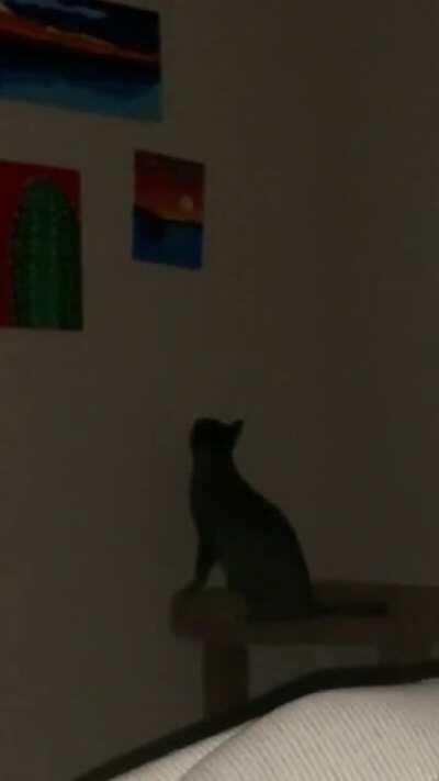 1:00 am Raisin says “this has got to go”