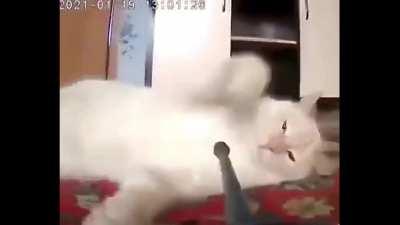 I can't believe next year's April Fools event has been leaked this early