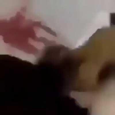 DylanteroYT - Video #6555