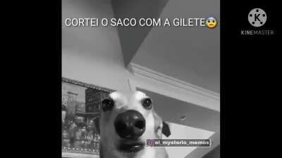 um membro da gang do Tobia cortou o saco com a gilete 😢✊