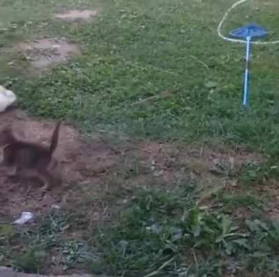 The elite don't want you to experience this