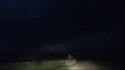 When the wife tells you to do something: