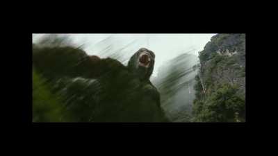 HODL, Apes together stronger