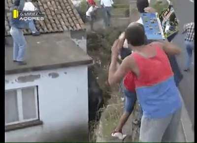 Bull pulls man off of house roof