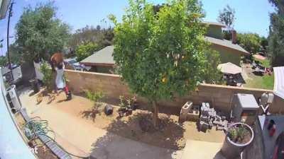 To keep pimp slap some b*tches