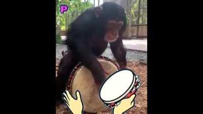 Inspired by a previous post, I decided to make Tambourine!