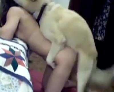 Ludia čo použivaju slovo ,,psik,, be like: