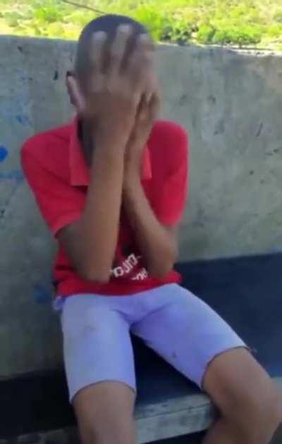 Briga de gato e cachorro