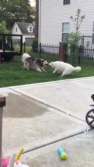 Who gonna win this one?