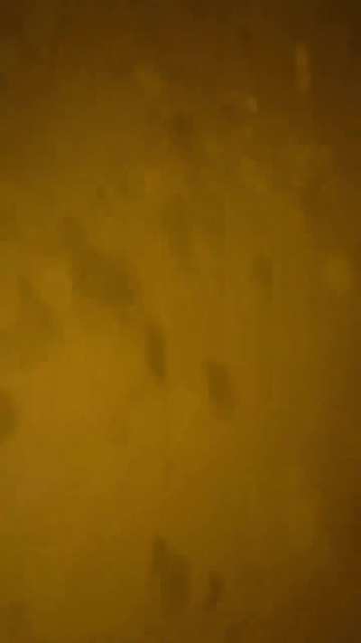 POV Cliff jumping 5-30 meters.