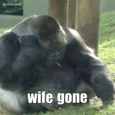 Ride wife, life good