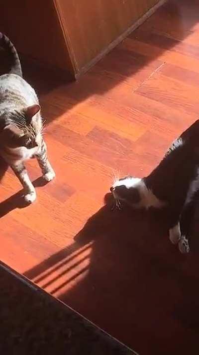 Choosing the optimal moment to strike