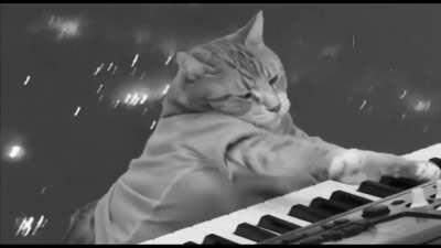 Play Dresden Off, Keyboard Cat!