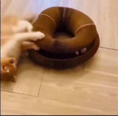 Flexibility is the cure.