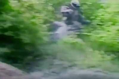 The Bear Slayer Armor