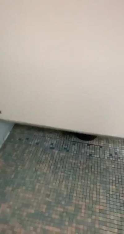 Bro I just wanted to pee, but I got something better.