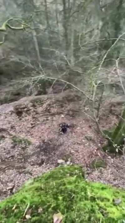 From now on when I say full send this is what I mean