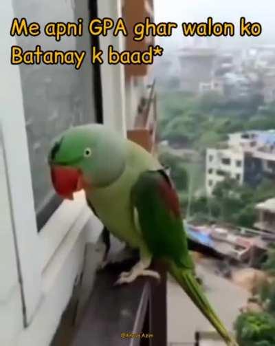 Please darwaza khol dein