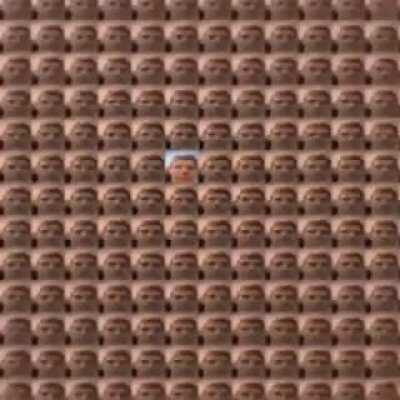 Linus?!?? 😳😳😳