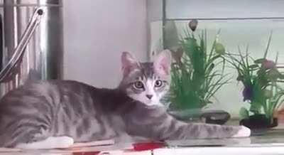 Nothing to see here. Nothing happened.