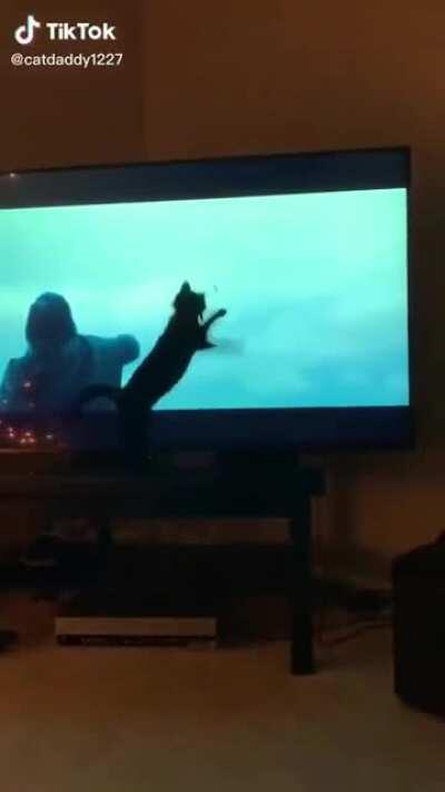 When you can't tell Star Wars from real life...