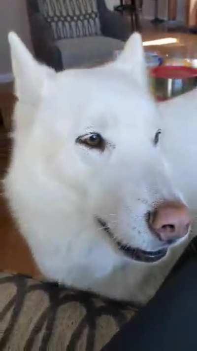 saying “I love you”