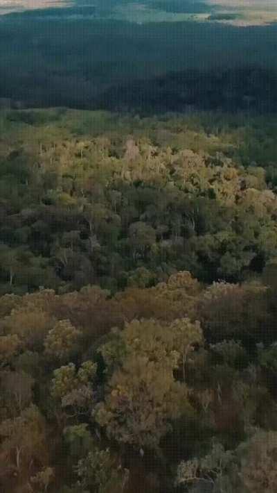 Bianca Anchieta, 💦🍑