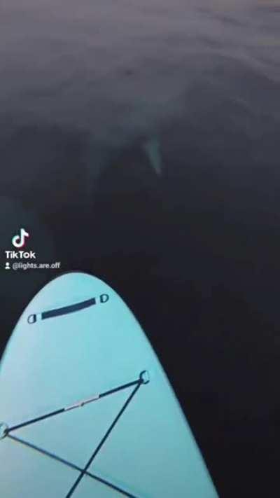 Bad day for paddle boarding