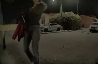 Tesla Vandalism in Ventura California