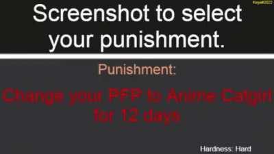 Do what the paper says