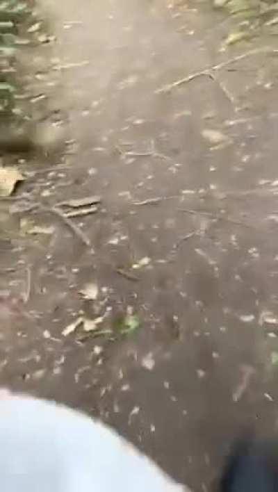 Northern Irish lad catches 2 men having sex in a public park, proceeds to tune them up with a lump of wood.