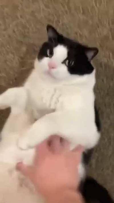 POOR Dude CRUSHEd To DeAtH WIth dis nuTs!