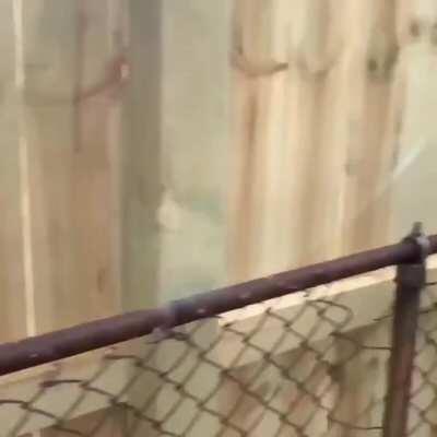 Gucci Berry everyone!