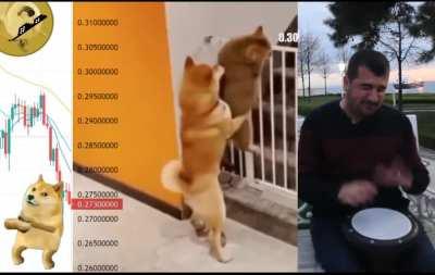 The FIGHT for 30 CENTS(AGAIN)!!! - C'mon, lets GO MOON!!!