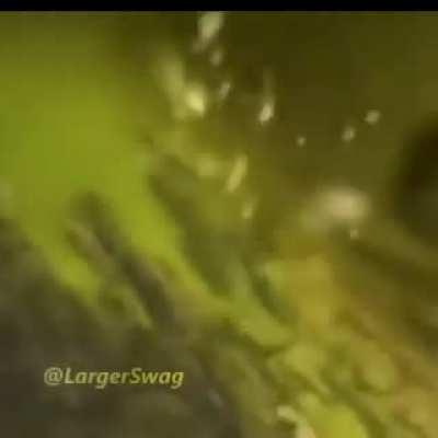 Fresquisimo 😎🤙