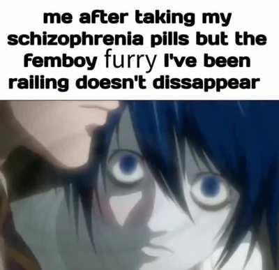 femboy🦊irl