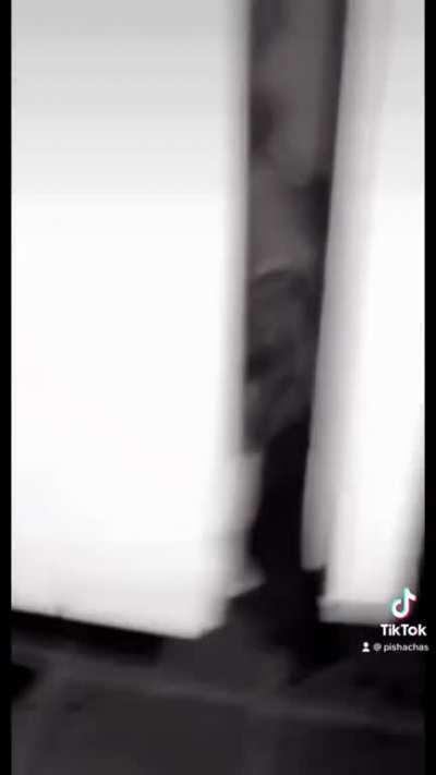 My dog is a little too good at playing dead…