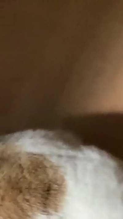 After awhile I decide to share June’s yell with the internet again!